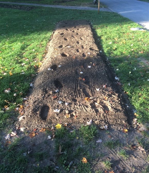 QUI DONC A LA VUE QUI BAISSE,  MORGIENS, ou …  ?